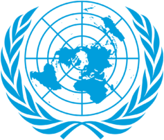 Пираты подготовили информацию для Спецдокладчика ООН о положении правозащитников